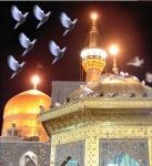 امام رضا