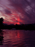 gif wall