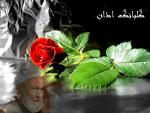 طرح