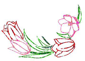 IMAGE(http://www.askquran.ir/gallery/images/15525/1_flowers_outline.gif)