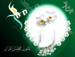 میلاد حضرت مهدی (عج)