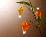 ایه 52 سوره احزاب