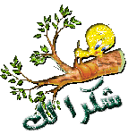 شکرا