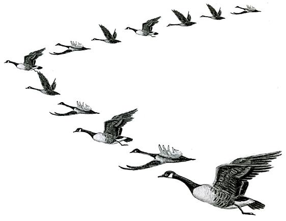 [تصویر: 1_morghabi.JPG]