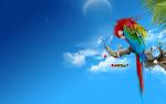 Wallpapers