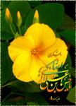 یا مهدی