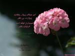 عید