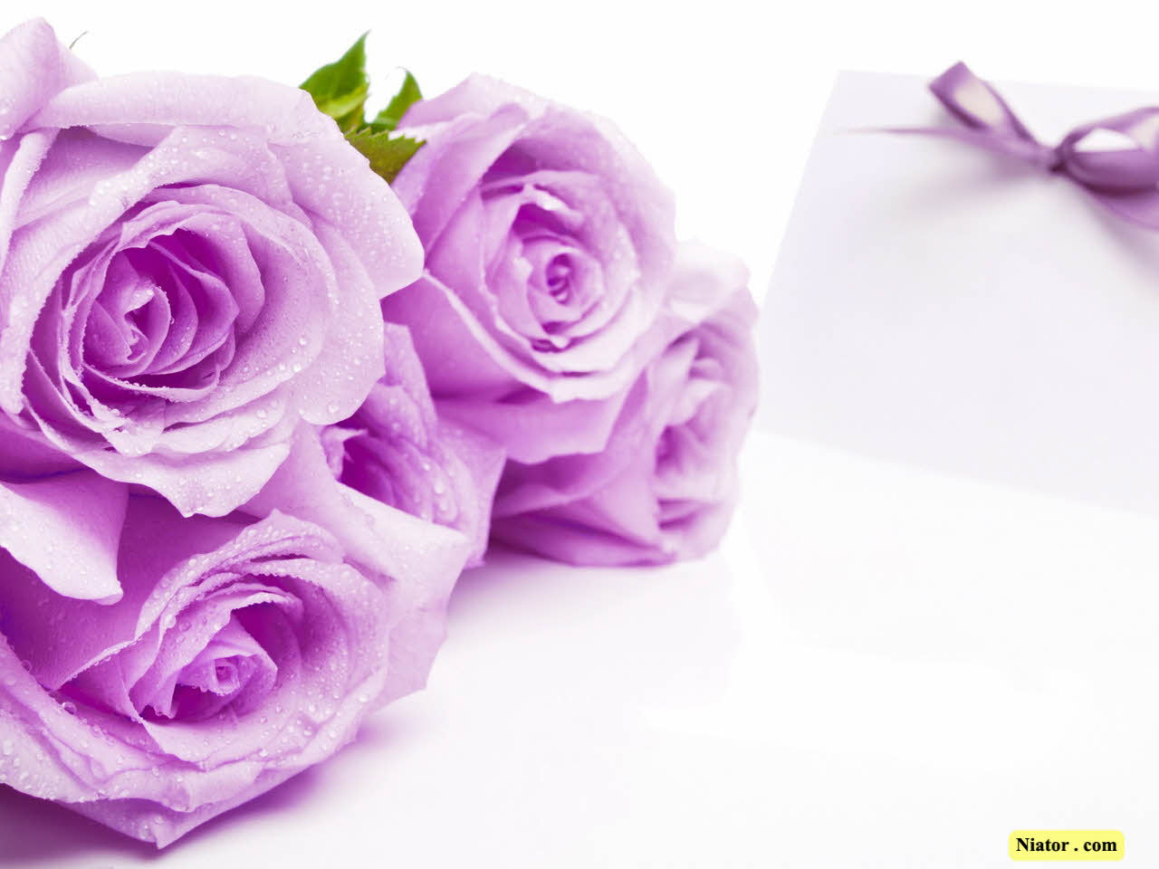 العاب+فندق+العائلة+للبنات ... AF_D8_B3_D8_AA_D9_87-_DA_AF_D9_84-_D9_84_D8_A7_D9_84_D9_87-1440x900