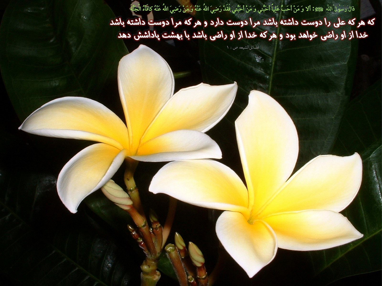 IMAGE(http://www.askquran.ir/gallery/images/43091/2_H__151_.jpg)
