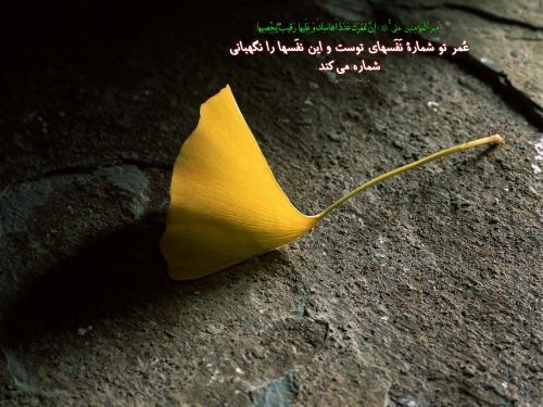 IMAGE(http://www.askquran.ir/gallery/images/43091/large/1_H__154_.jpg)