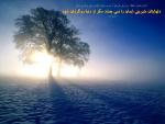حديث تصويري