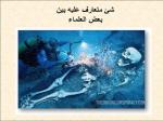 قوم عاد