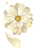 تزئینات