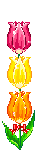 تزئینات