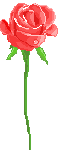 تزئینات