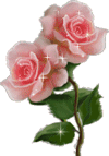 IMAGE(http://www.askquran.ir/gallery/images/5405/1_34nn1.gif)