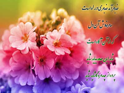 1 garden flower 606