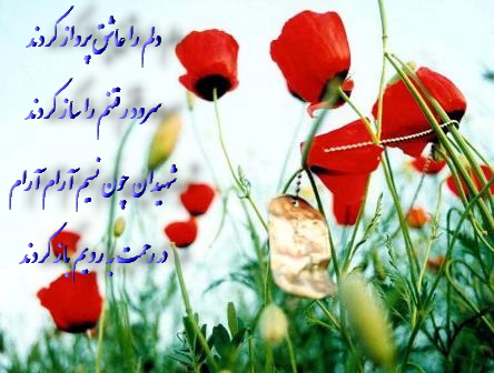 IMAGE(http://www.askquran.ir/gallery/images/5405/1_shaghayegh-pelak-87-6-21s.jpg)