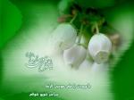 مناسبت ها