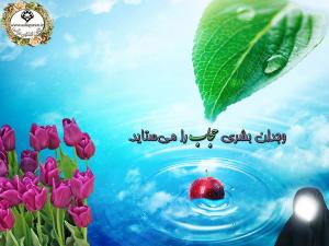 IMAGE(http://www.askquran.ir/gallery/images/54082/medium/1_hejab24.jpg)