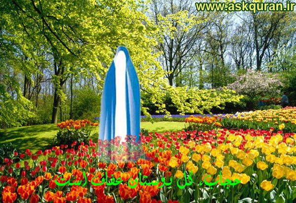 IMAGE(http://www.askquran.ir/gallery/images/57376/2_8.jpg)