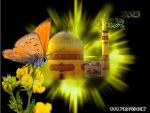 ثمن الحجج