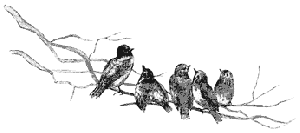 Click for larger version