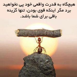 ♥بخوان و تفکر کن...(عکس نوشته های زیبا) ♥