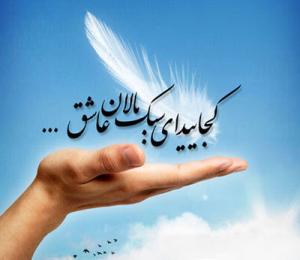 Click for larger version