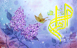 65412.gif