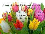a_bunch_of_flowers_2_.gif