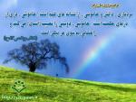حدیث گرافی