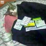 بخندیم وبخندیم