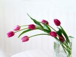 TR_Best_Wallpaper_Flowers__021_.jpg