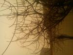 Dsc00471.jpg
