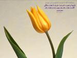 641Hadis_H024.jpg