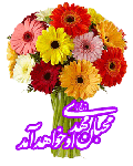nime-shaban-yasgroup-32.gif