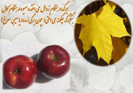 ♥بخوان و تفکر کن...(عکس نوشته های زیبا) ♥