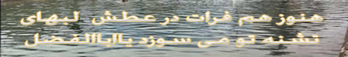 یا اخا ادرک اخا - ویژه نامه تاسوعای حسینی