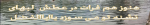 85668001570348685137.png