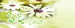 vijenameh.gif