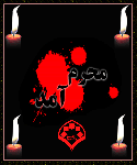 تصاویر محرم